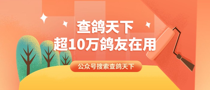 点击立即咨询