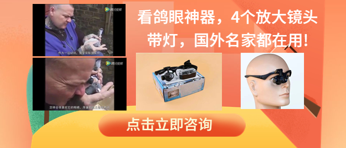 点击立即咨询